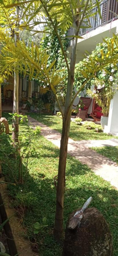Mandara Rest Bed & Breakfast Хикадува Екстериор снимка