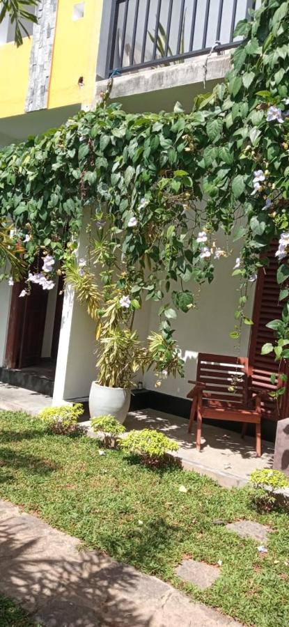 Mandara Rest Bed & Breakfast Хикадува Екстериор снимка