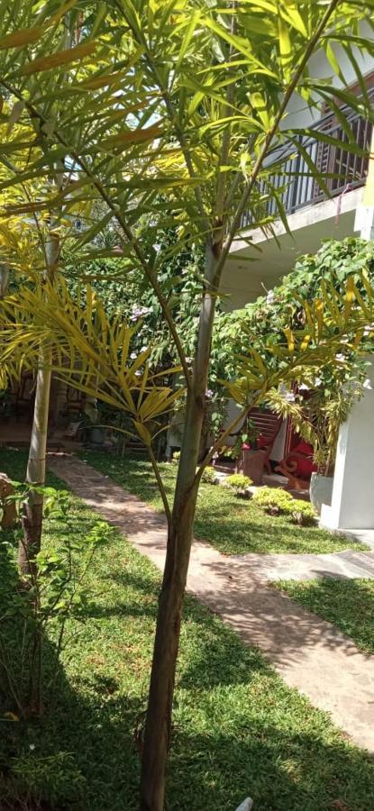 Mandara Rest Bed & Breakfast Хикадува Екстериор снимка
